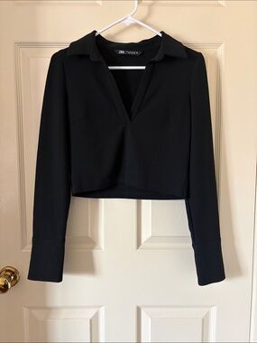 ZARA Cropped Long Sleeve Top